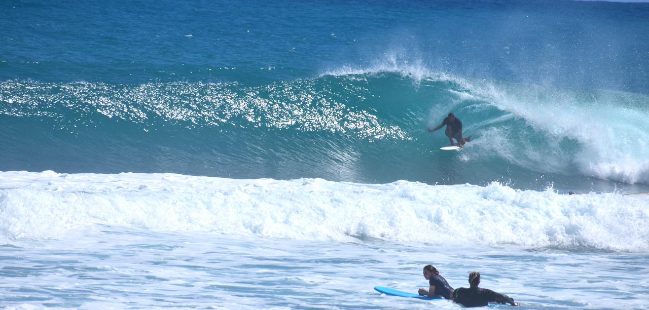El Encuentro Surf Lodge Cabarete Ngoại thất bức ảnh